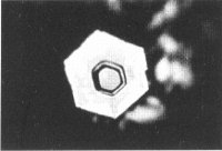 CERAMIC_FILTRATION_SYSTEMS.gif