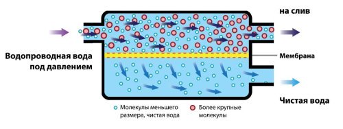 Схема прохождения воды через мембрану обратного осмоса