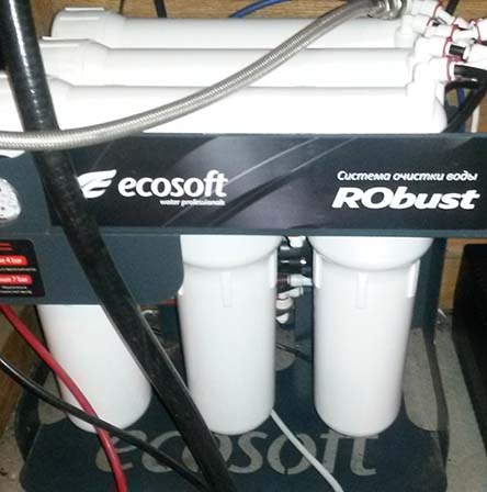 Замена картриджей в осмосе Ecosoft Robust 1000 в Шевченковском районе г. Киева