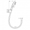 Гигиенический душ Hansgrohe 32128000 - 1