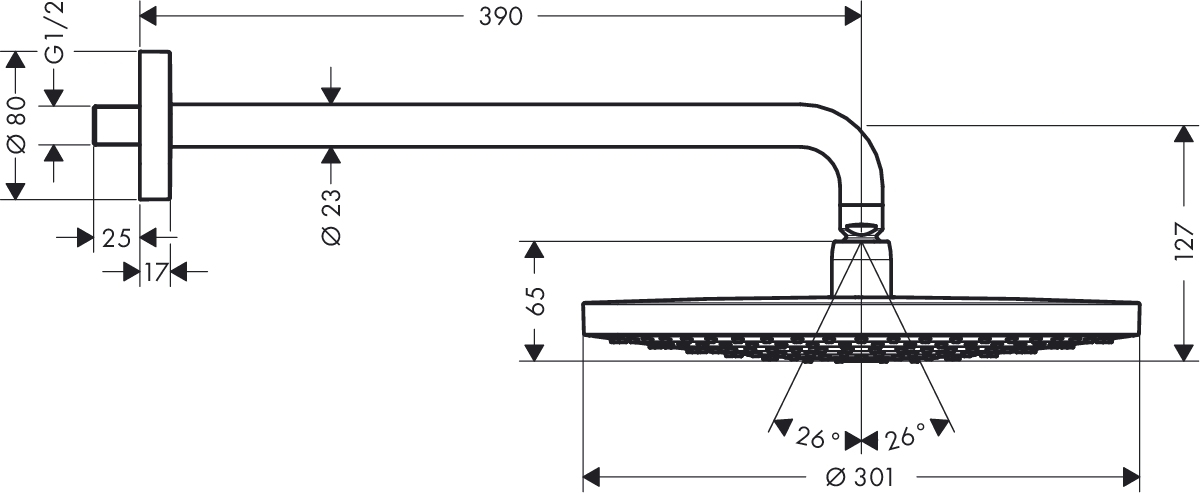 Верхний душ Hansgrohe RAINDANCE SELECT 27378000