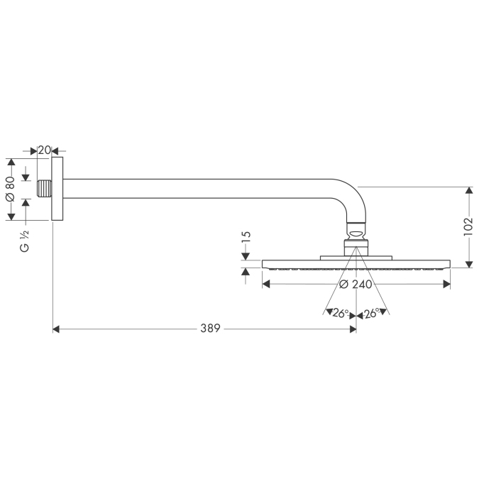 Верхний душ Hansgrohe RAINDANCE 27461000
