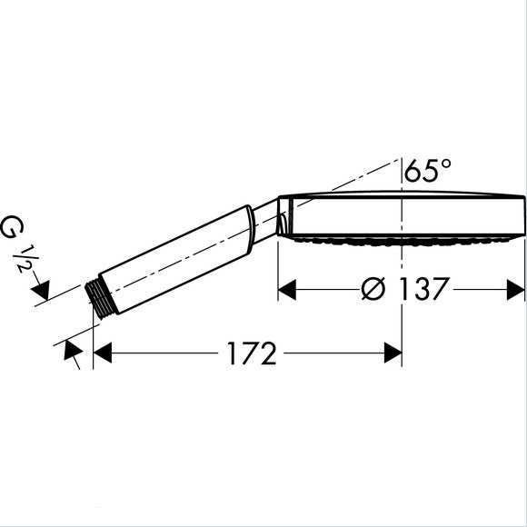 Ручной душ Hansgrohe RAINDANCE 28505800