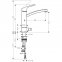 Смеситель для кухни Hansgrohe FOCUS 31803000 - 1