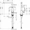 Смеситель для кухни Hansgrohe FOCUS 31817000 - 1