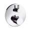 Термостат для ванны Hansgrohe ECOSTAT 15721000