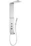 Душевая панель Hansgrohe RAINDANCE 27008000