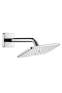 Верхний душ Hansgrohe RAINDANCE 27370000