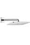 Верхний душ Hansgrohe RAINDANCE 27376000